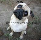 Антон Седов фотография #45 (источник - https://vk.com/id17748274)