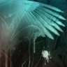 Ігор Шинкар фотография #29 (источник - https://vk.com/id38028259)