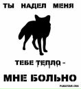 Юлія Фурія фотография #37 (источник - https://vk.com/id5070335)
