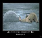 Иван Друковский фотография #38 (источник - https://vk.com/id545338)