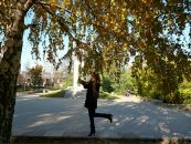 Фотография Коноваленко Олеси