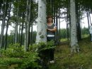Ірина Васільєва фотография #20 (источник - https://vk.com/id118765739)