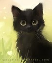 Тім Тім фотография #2 (источник - https://vk.com/id170548445)