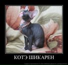 Фотография Карпец Андрей