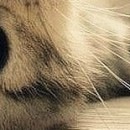 Ірина Пасічник фотография #41 (источник - https://vk.com/id89136098)