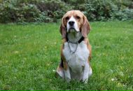 Igor Bolmanenkov фотография #29 (источник - https://vk.com/id2267085)