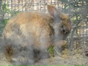 Софія Каламуняк фотография #1