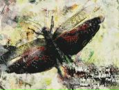 Фотография Ивановича Василия