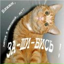 Юра Погорілець фотография #27 (источник - https://vk.com/id141831756)