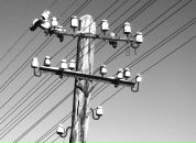 Фотография Шпрунга Владимира