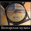 Ёрик Мандаринка фотография #9 (источник - https://vk.com/id161525067)
