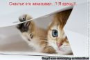 Samaya♥ Samaya... фотография #2 (источник - https://vk.com/id140059392)