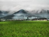 Степан Туляков фотография #3 (источник - https://vk.com/id640944)