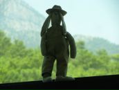 Фотография Захарьева Светлана