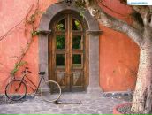 Фотография Селивановой Анастасии