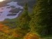 Сергій Шаркадій фотография #46 (источник - https://vk.com/id71171911)