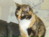 Виктор Мерсин фотография #11 (источник - https://vk.com/id10692287)