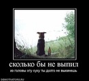 Фотография Морозова Ильи