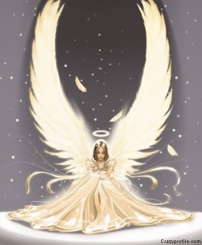 №14, Снежана Мездрина №14, Снежана Мездрина