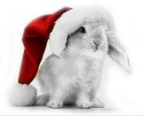 Оксана Дарморіз фотография #18 (источник - https://vk.com/id19360129)