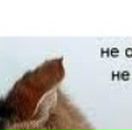 Лєна Ляшкевич фотография #36 (источник - https://vk.com/id57337092)