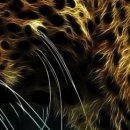 Ігор Шутурма фотография #13 (источник - https://vk.com/id122805674)