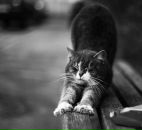 Фотография Уфимцевой Натальи