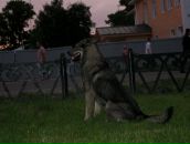 Фотография Рюмина Дмитрия