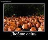 Назік Городняк фотография #27 (источник - https://vk.com/id24028626)