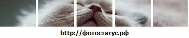 Діана Пастух фотография #20 (источник - https://vk.com/id58203697)