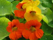 Фотография Bakina Ilona