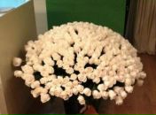 Фотография Смирновой Елены