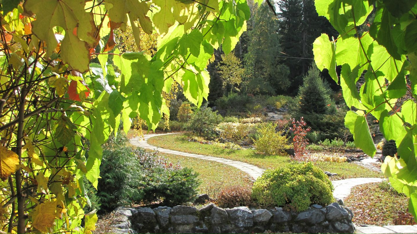 Елена Душка фотография #45