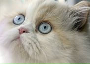 Фотография Щукиной Ольги