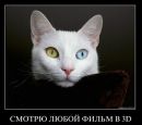 Андрій Ратич фотография #35 (источник - https://vk.com/id16301783)