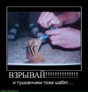 Фотография Елохина Антона