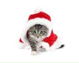 Фотография Маркиной Анастасии