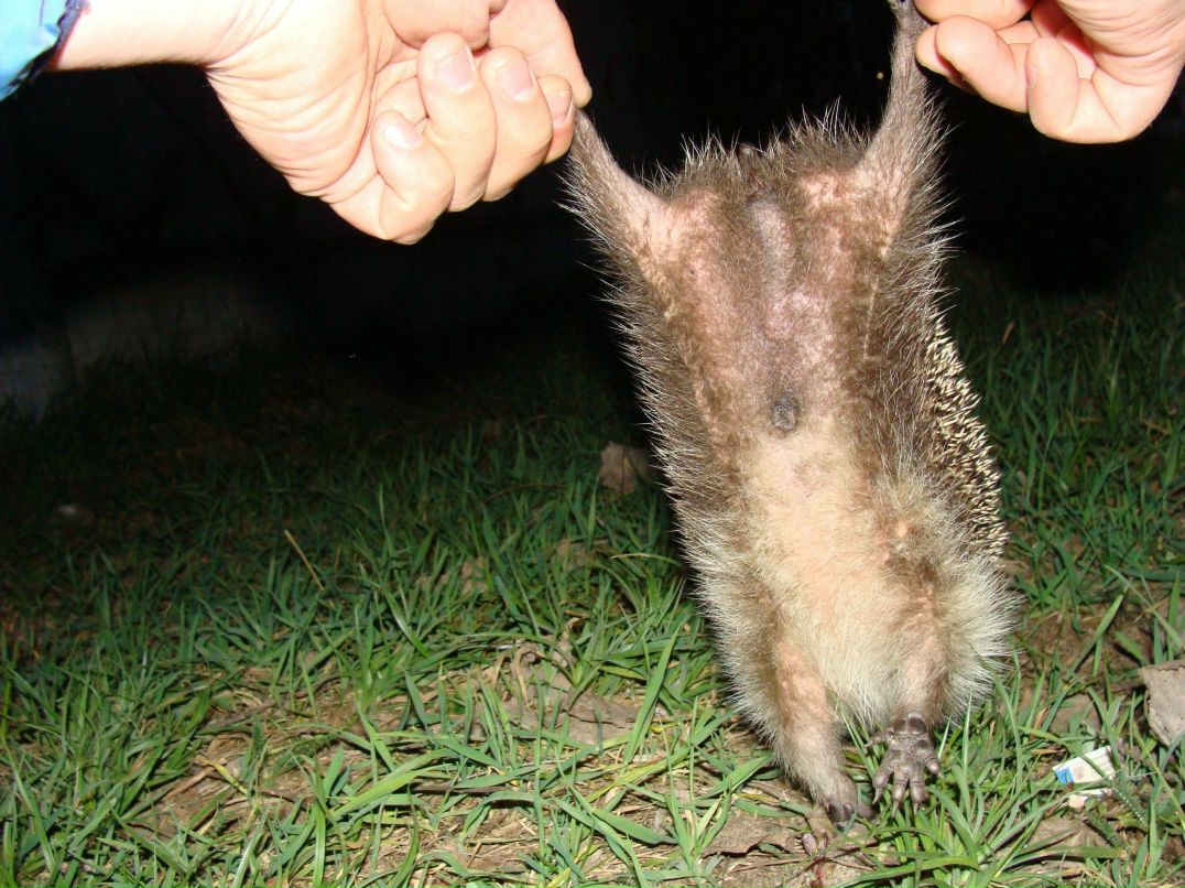 Влад Стадник фотография #7