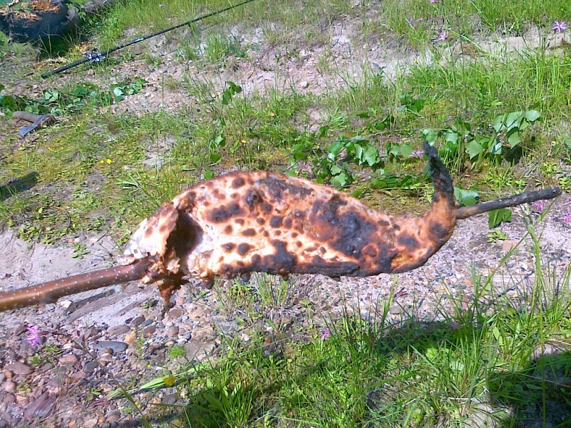 Альберт Егоров фотография #31