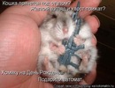 Юлія Сушко фотография #1