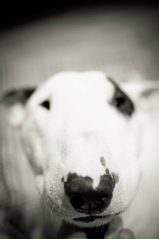 Марина Беляева фотография #20