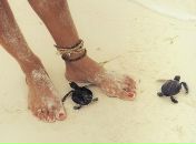 Фотография Прохоровой Светланы