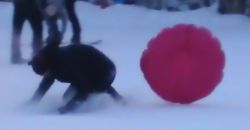 Фотография Баранова Анастасия