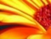 Андрій Білан фотография #38 (источник - https://vk.com/id122079955)