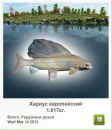 Ingutia Kieraite фотография #20 (источник - https://vk.com/id37570152)