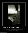 Фотография Алексеевой Натальи