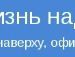 Діма Кушнір фотография #19 (источник - https://vk.com/id16215162)