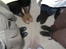 Адріана Федевич фотография #11 (источник - https://vk.com/id101347637)