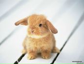 Маряна Іванова фотография #23 (источник - https://vk.com/id30346944)