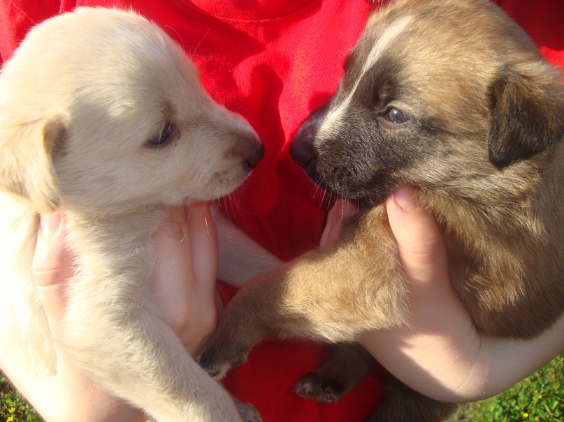 Кристина Плотникова фотография #43